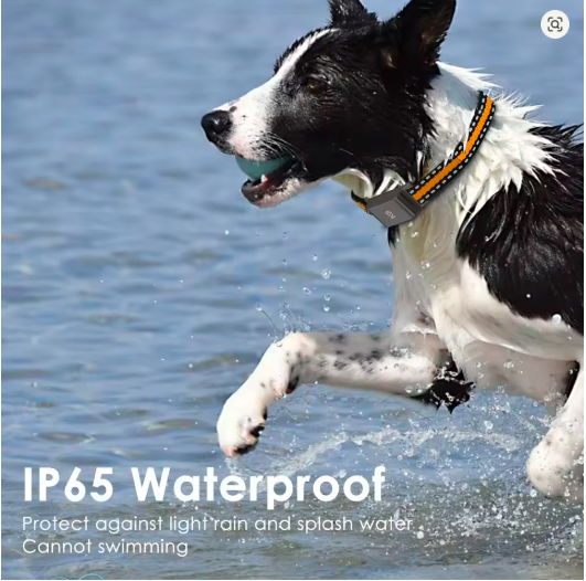 2025 Waterproof 4G GPS Pet Tracker Collar – Real-Time Locator with Geo-Fence, Free App & 7-Day Battery
